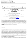 Научная статья на тему 'Etiology and histopathological alterations in some body organs of juvenile rainbow trout Oncorhynchus mykiss (Walbaum, 1792) at nitrite poisoning'