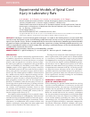 Научная статья на тему 'Experimental models of spinal cord injury in laboratory rats'