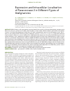 Научная статья на тему 'Expression and intracellular localization of paraoxonase 2 in different types of malignancies'