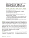 Научная статья на тему 'Expression levels of the uridine-cytidine kinase like-1 protein as a novel prognostic factor for hepatitis c virusassociated hepatocellular carcinomas'