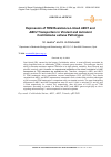 Научная статья на тему 'Expression of TDM Resistance-Linked ABC1 and ABC2 Transporters in Virulent and Avirulent Cochliobolus sativus Pathotypes'