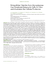 Научная статья на тему 'EXTRACELLULAR VESICLES FROM MYCOPLASMAS CAN PENETRATE EUKARYOTIC CELLS IN VITRO AND MODULATE THE CELLULAR PROTEOME'