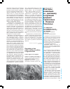Научная статья на тему 'Факторы, влияющие на динамику популяций вредных саранчовых в Нижнем Поволжье'
