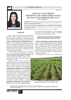 Научная статья на тему 'Фазы роста и развития зернового сорго при разных сроках посева в лесостепной зоне РСО-А'