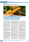 Научная статья на тему 'Фенологические и биометрические показатели гибридов кукурузы различного срока созревания в условиях Орловской области'