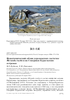 Научная статья на тему 'Фенотипический облик деревенских ласточек Hirundo rustica на Северных Курильских островах'
