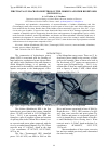 Научная статья на тему 'First data on macrozoobenthos of the Orkhon and Ider reservoirs (Mongolia)'
