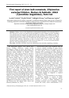 Научная статья на тему 'First report of stem bulb nematode, Ditylenchus weischeri Chizhov, Borisov & Subbotin, 2010 (Tylenchida: Anguinidae), from Iran'