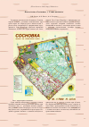 Научная статья на тему 'Флора парка «Сосновка» (г. Санкт-Петербург)'