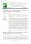 Научная статья на тему 'Formation and productivity of photosynthetic apparatus of maize plants for the action of Polimiksobakteryn - a plant growth stimulator'