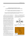 Научная статья на тему 'Формирование деформационного рельефа при микроиндентировании ленточных аморфных сплавов'