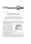 Научная статья на тему 'Фрактальность в строении раковины и эволюции головоногих моллюсков'