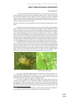 Научная статья на тему 'FRUIT TREES MCDANIEL SPIDER MITE'