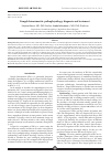 Научная статья на тему 'Fungal rhinosinusitis: pathophysiology, diagnosis and treatment'