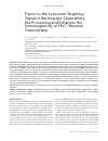 Научная статья на тему 'Fusion to the lysosome targeting signal of the invariant chain alters the processing and enhances the immunogenicity of HIV-1 reverse transcriptase'