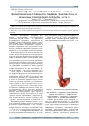 Научная статья на тему 'Гастроэзофагеальная рефлюксная болезнь: анатомо-физиологические особенности пищевода, факторы риска и механизмы развития (обзор литературы, часть 1)'