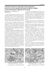 Научная статья на тему 'Гистологическое строение почек крупного рогатого скота казахской белоголовой породы в постнатальный период онтогенеза'