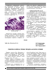 Научная статья на тему 'Гликоген в клетках печени плодов маралов и оленей'