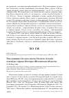 Научная статья на тему 'Гнездование белого аиста ciconia ciconia в центре города Печоры (Псковская область)'