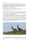 Научная статья на тему 'Гнездование белощёкой казарки Branta leucopsis в Выборгском заливе (Ленинградская область)'