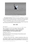 Научная статья на тему 'Гнездование пустельги Falco tinnunculus в постройках человека в зонах отдыха на Бухтарминском водохранилище'