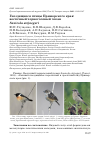 Научная статья на тему 'Гнездящиеся птицы Приморского края: восточный черноголовый чекан Saxicola stejnegeri'