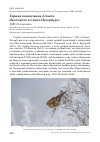 Научная статья на тему 'Горная коноплянка Linaria flavirostris в Санкт-Петербурге'