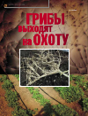 Научная статья на тему 'Грибы выходят на охоту'