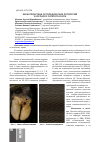 Научная статья на тему 'Характеристика ортопедических патологии у крупного рогатого скота'