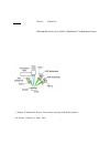 Научная статья на тему 'High speed laser surface texturing and time-resolved temperature measurement'