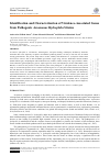 Научная статья на тему 'Identification and Characterization of Virulence-Associated Genes from Pathogenic Aeromonas Hydrophila Strains'