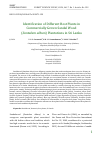 Научная статья на тему 'IDENTIFICATION OF DIFFERENT HOST PLANTS IN COMMERCIALLY GROWN SANDAL WOOD (SANTALUM ALBUM) PLANTATIONS IN SRI LANKA'