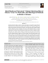 Научная статья на тему 'Identification of Extremely Virulent Infectious Bursal Disease Virus Via Molecular and Histological Methods in Broiler Chickens'