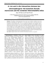 Научная статья на тему 'In vivo and in vitro interactions between two entomopathogens: the bacterium Serratia marcescens and the nematode Heterorhabditis indica'