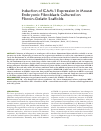 Научная статья на тему 'Induction of ICAM-1 expression in mouse embryonic fibroblasts cultured on fibroin-gelatin scaffolds'