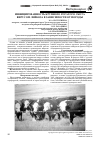 Научная статья на тему 'Инфицированность крупного рогатого скота вирусом лейкоза в зависимости от породы'