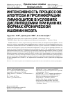 Научная статья на тему 'Интенсивность процессов апоптоза и пролиферации лимфоцитов в условиях дислипидемии при ранних формах хронической ишемии мозга'