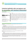 Научная статья на тему 'Intestinal epithelial cells necroptosis and its association with intestinal inflammation'