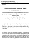 Научная статья на тему 'Investigation of grain yield and drought resistance in selected wheat lines based on molecular markers'