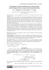 Научная статья на тему 'INVESTIGATION OF SEICHE OSCILLATIONS IN THE ADJACENT BAYS BY THE EXAMPLE OF THE SEVASTOPOL AND THE QUARANTINE BAYS'