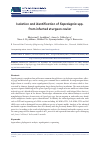 Научная статья на тему 'ISOLATION AND IDENTIFICATION OF SAPROLEGNIA SPP. FROM INFECTED STURGEON CAVIAR'