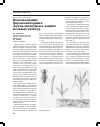 Научная статья на тему 'Использование феромониторинга жуков-щелкунов в защите полевых культур'