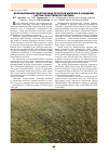 Научная статья на тему 'Использование генетических ресурсов житняка в создании сортов сухостепного экотипа'