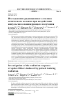 Научная статья на тему 'ИССЛЕДОВАНИЕ РАДИАЦИОННОГО ОТКЛИКА ОПТИЧЕСКОГО ВОЛОКНА ПРИ ВОЗДЕЙСТВИИ ИМПУЛЬСНОГО ИОНИЗИРУЮЩЕГО ИЗЛУЧЕНИЯ'