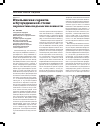 Научная статья на тему 'Итальянская саранча в Кулундинской степи: перспективы подъема численности'