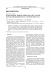 Научная статья на тему 'Извлечение ионов тяжелых металлов клетками Rhodococcus ruber ИЭГМ 231'