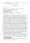 Научная статья на тему 'К биологии филина bubo bubo в Северной Осетии'