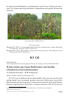 Научная статья на тему 'К биологии хрустана Eudromias morinellus в Байкальском заповеднике'