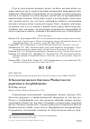 Научная статья на тему 'К биологии малого баклана Phalacrocorax pygmaeus в Азербайджане'