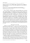 Научная статья на тему 'К биологии тулеса Pluvialis squatarola на Ямале'